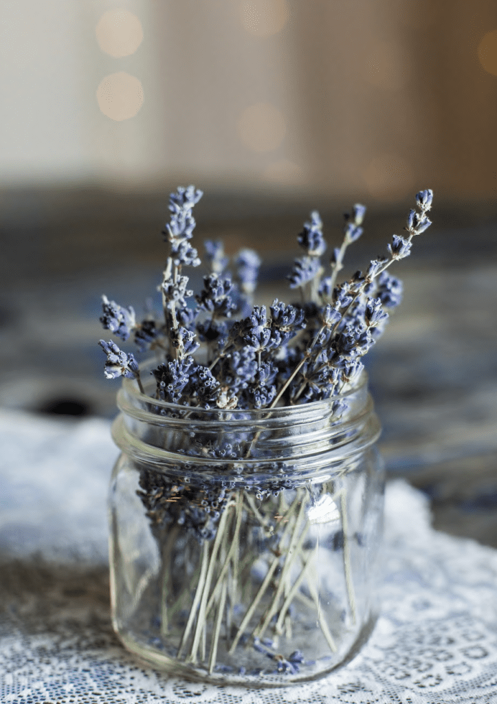 Fresh lavender